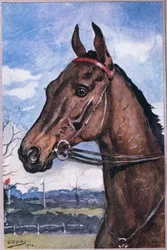 Cómo vencimos al favorito, de Poemas de Adam Lindsay Gordon publicado por T. N. Foulis, 1912