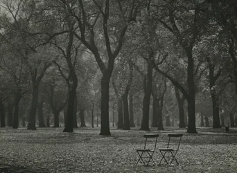 Árboles otoñales en Hyde Park, Londres