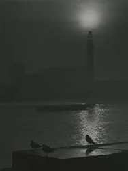 Siluetas de gaviotas al atardecer cerca del río Támesis
