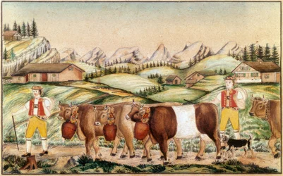 Subida al pasto alpino