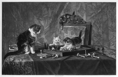Gatos jugando con un tablero de ajedrez
