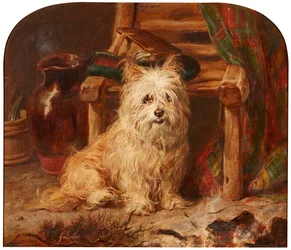 Pimienta (óleo sobre lienzo)