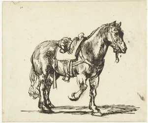 Caballo del Buen Samaritano