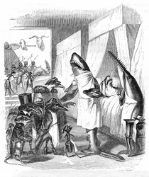 Dibujos animados: Piscis - médicos: Grabado de Grandville, del libro "Vida privada y pública de los animales (Les animaux ints par eux memes)", edición Hetzel 1867 p. 551 - Un tiburón y un pez sierra (Pez sierra) junto a la cama de un enfermo.