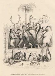 Conversación entre animales. Vignettes ilustradas por JJ Granville. Grabado firmado Breviere en el prólogo titulado "Resumen parlamentario" escrito por PJ Stahl en "Escenas de la vida privada y pública de los animales". París, J. Hetzel y Paulin
