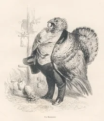 Pavo en banquero. Viñetas ilustradas por JJ Granville. Grabado firmado Tamisier en la parte titulada "Recuerdos de una vieja corneja" escrito por PJ Stahl en "Escenas de la vida privada y pública de los animales". París, J. Hetzel y Paulin