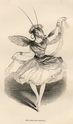 Ella bailó una saltarela. Viñetas ilustradas por JJ Granville. Grabado firmado por Andrew, Best y Leloir en la parte titulada "Las aventuras de una mariposa" escrito por PJ Stahl en "Escenas de la vida privada y pública de los animales". París, J. Hetzel y