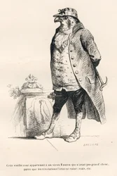 Halcón arruinado por las revoluciones. Viñetas ilustradas por JJ Granville. Grabado firmado por Breviere en la parte titulada "Recuerdos de una vieja corneja" escrito por PJ Stahl en "Escenas de la vida privada y pública de los animales". París, J. Hetzel 