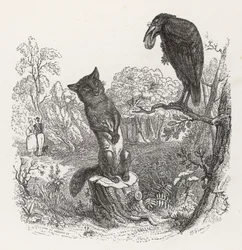 La fábula de La Fontaine: El cuervo y la zorra, c.1860 (grabado)