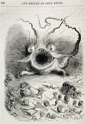 Los amores de dos bestias (monstruo espeluznante) - en “Animales pintados por ellos mismos: vida privada y pública de los animales” por Grandville, capítulo por Honoré de Balzac, ed. Hetzel