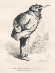 Mirlo "viejo, roto, hablador, caprichoso pero bueno, devoto y doméstico por temperamento". Viñetas ilustradas por JJ Granville. Grabado firmado Tamisier en la parte titulada "Recuerdos de una vieja corneja" escrito por PJ Stahl en "Escenas de la vida priva