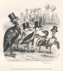 Oficio de un ganso joven consistente en llevar a los alumnos al campo. Los gansos se alejan de su cría. Viñetas ilustradas por J. J. Granville. Grabado firmado por Brévière en la parte titulada «Guía asnal para uso de los animales que quieren alcanzar los