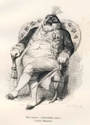 Pavo real sentado en su sillón. Viñetas ilustradas por JJ Granville. Grabado firmado por Porret en la parte titulada "Guía para animales que quieren alcanzar honores" escrito por Honoré de Balzac en "Escenas de la vida privada y pública de los animales". P