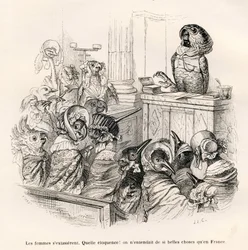 Loro elocuente. Viñetas ilustradas por J. J. Grandville. Grabado firmado por Porret en la parte titulada «Guía-asno para uso de los animales que quieren alcanzar los honores», escrita por Honoré de Balzac en «Escenas de la vida privada y pública de los