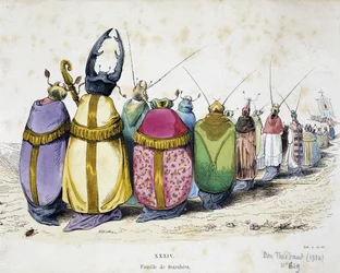 Procesión de escarabajos con ropa clerical - Caricatura anticlerical de Granville de "Las metamorfosis del día" 1829