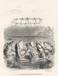 Ronda de animales acuáticos y libélulas. Viñetas ilustradas por JJ Granville. Grabado firmado Andrew, Best y Leloir en la parte titulada "Recuerdos de una vieja corneja" escrito por PJ Stahl en "Escenas de la vida privada y pública de los animales". París,