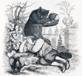El oso y el amante de los jardines - Fábulas de La Fontaine