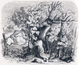 El ciervo y la vid - Fábulas de La Fontaine