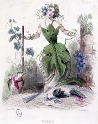 Mujer, alegoría de la vid - dibujo por Grandville