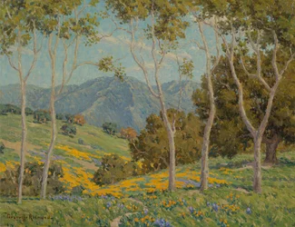 Amapolas y eucaliptos