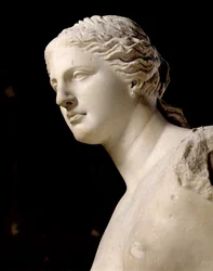 Venus de Milo (detalle de la cabeza)