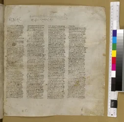 Codex Sinaiticus (vitela)