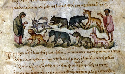 Juego: los animales que puedes cazar - en 