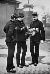 Demostración veterinaria, 1st Life Guards, 1896