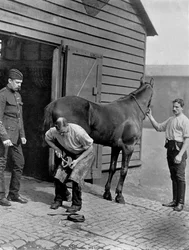 El Herrador Mayor de la Guardia Real de Caballería, 1896