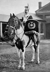 El caballo tambor del 17º de Lanceros