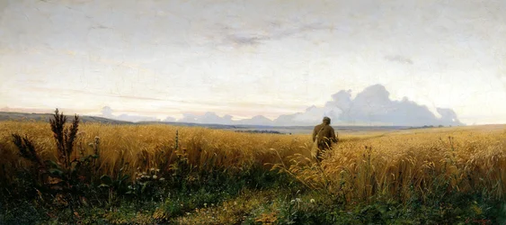 Sendero en un campo de centeno