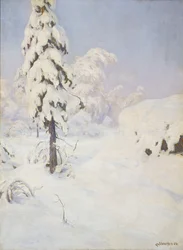 invierno en el bosque