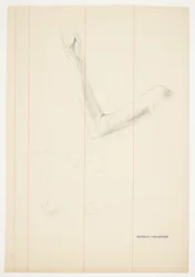 Estudios de un brazo y torso de mujer