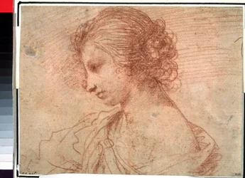 Retrato de una joven. (Retrato de mama de una joven)