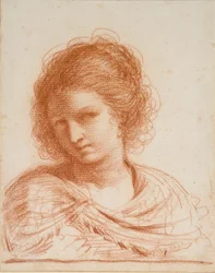 Cabeza de una joven, 1550-1666