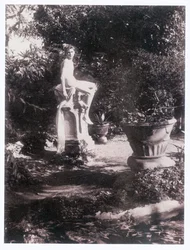 Fotógrafo (foto)