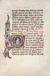 Salterio del coro e himnario
