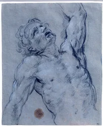 Medio cuerpo de hombre desnudo, se voltea, pretendiendo sufrir