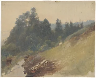 Ladera de la montaña con pinos