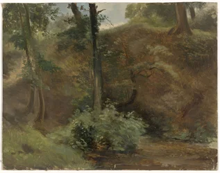 Árboles en un paisaje de dunas