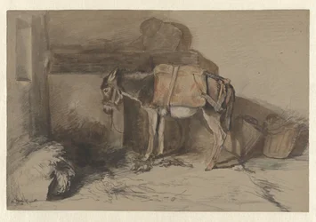 Burro en el establo
