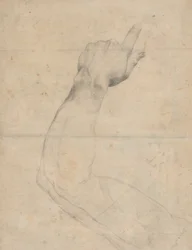 Estudio de un brazo [verso]