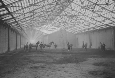 Caballos y mozos en el Tan Gallop, Welbeck Estate
