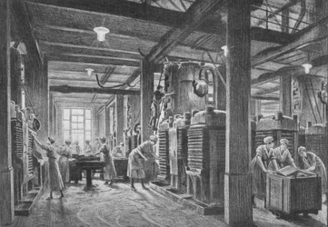 Una planta moderna de trituración de semillas oleaginosas, c1918