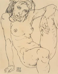 Desnudo sentado, Noche fría