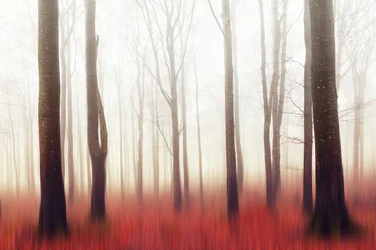 El bosque rojo de ensueño