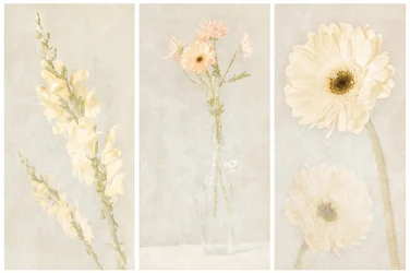 Tríptico floral descolorido