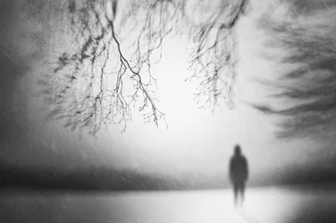 Una figura solitaria en invierno