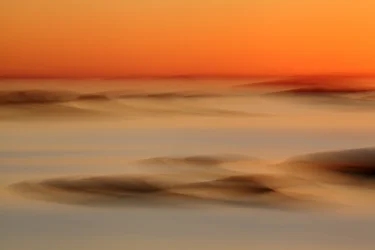 Resumen de «Orange Desert»