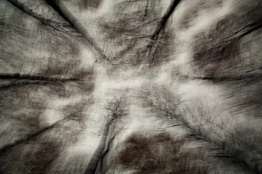 La primera tormenta de otoño